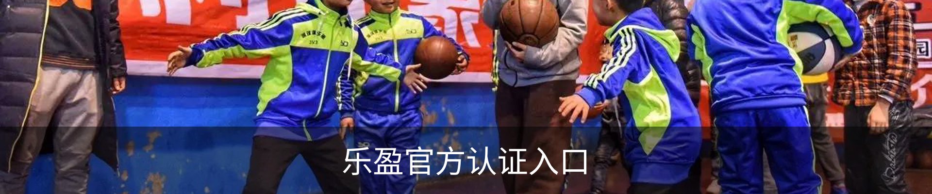 乐盈官方认证入口